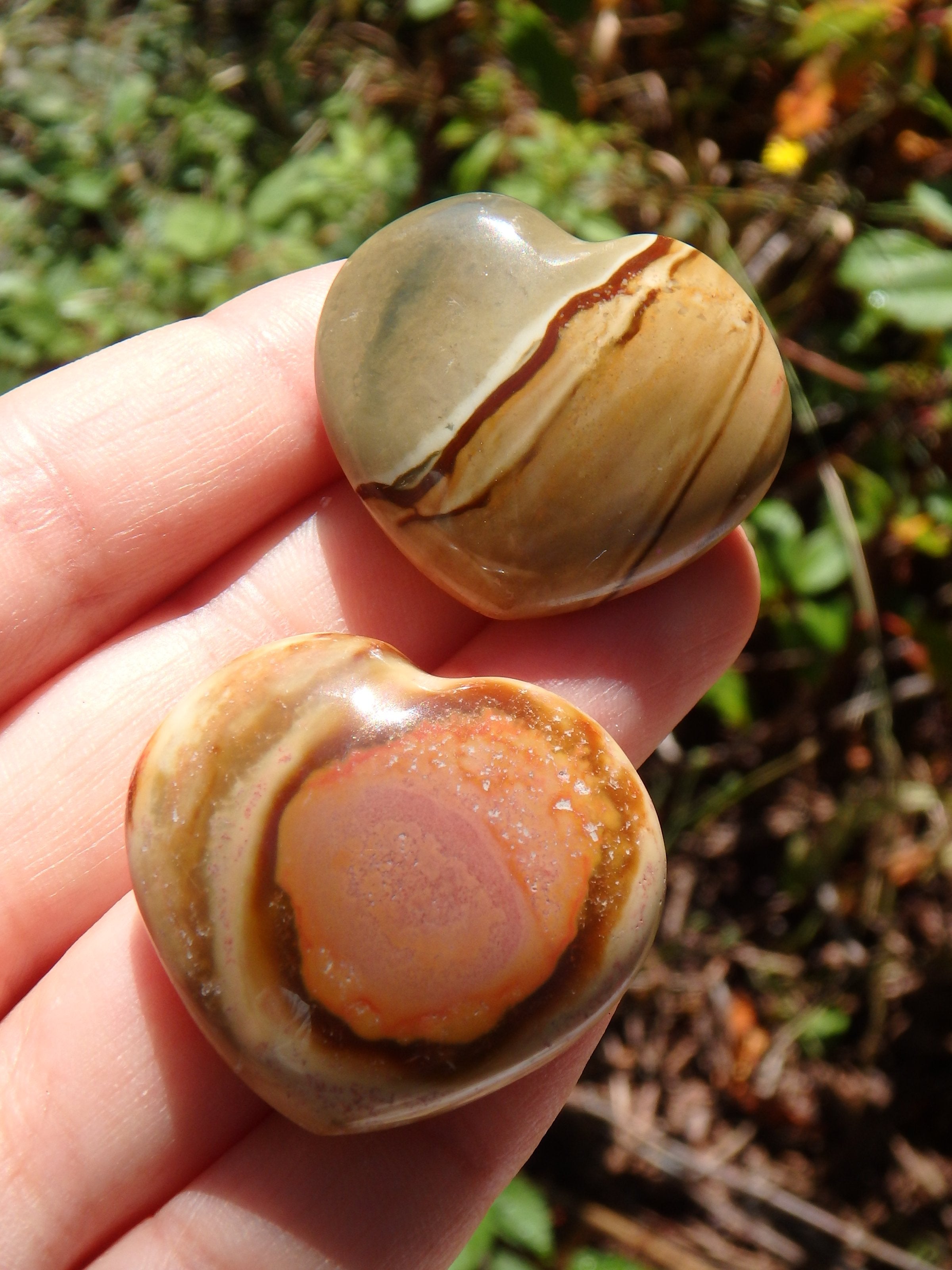 Set of 2~Delightful Colors Polychrome Jasper Small Heart Set 2