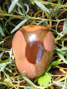 Incredible Patterns Smooth Polychrome Jasper Hand Held Pocket Stone