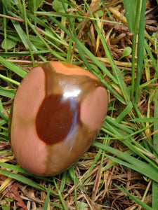 Incredible Patterns Smooth Polychrome Jasper Hand Held Pocket Stone