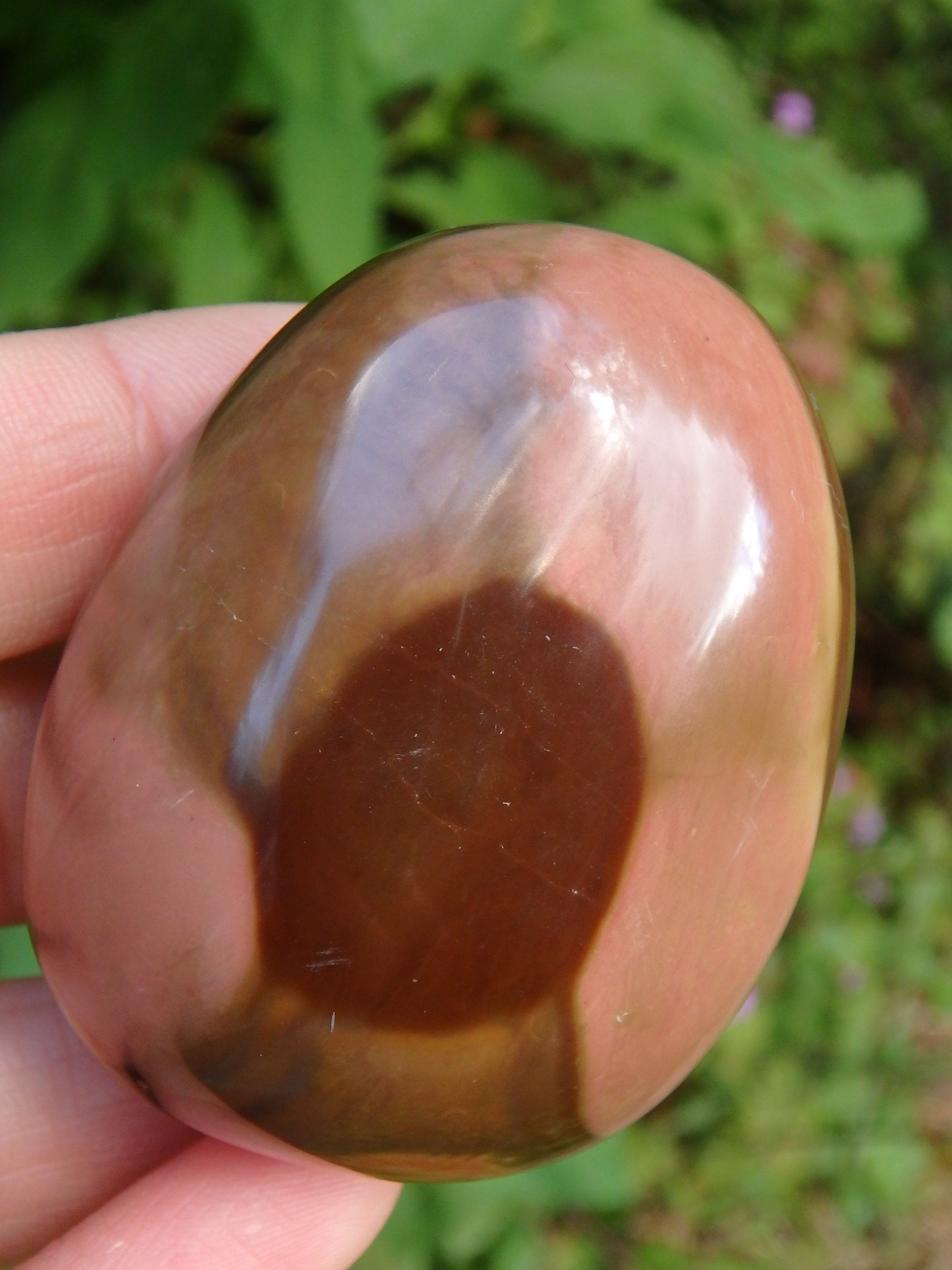 Incredible Patterns Smooth Polychrome Jasper Hand Held Pocket Stone