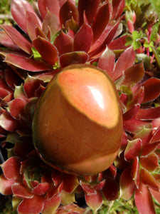 Incredible Patterns Smooth Polychrome Jasper Hand Held Pocket Stone