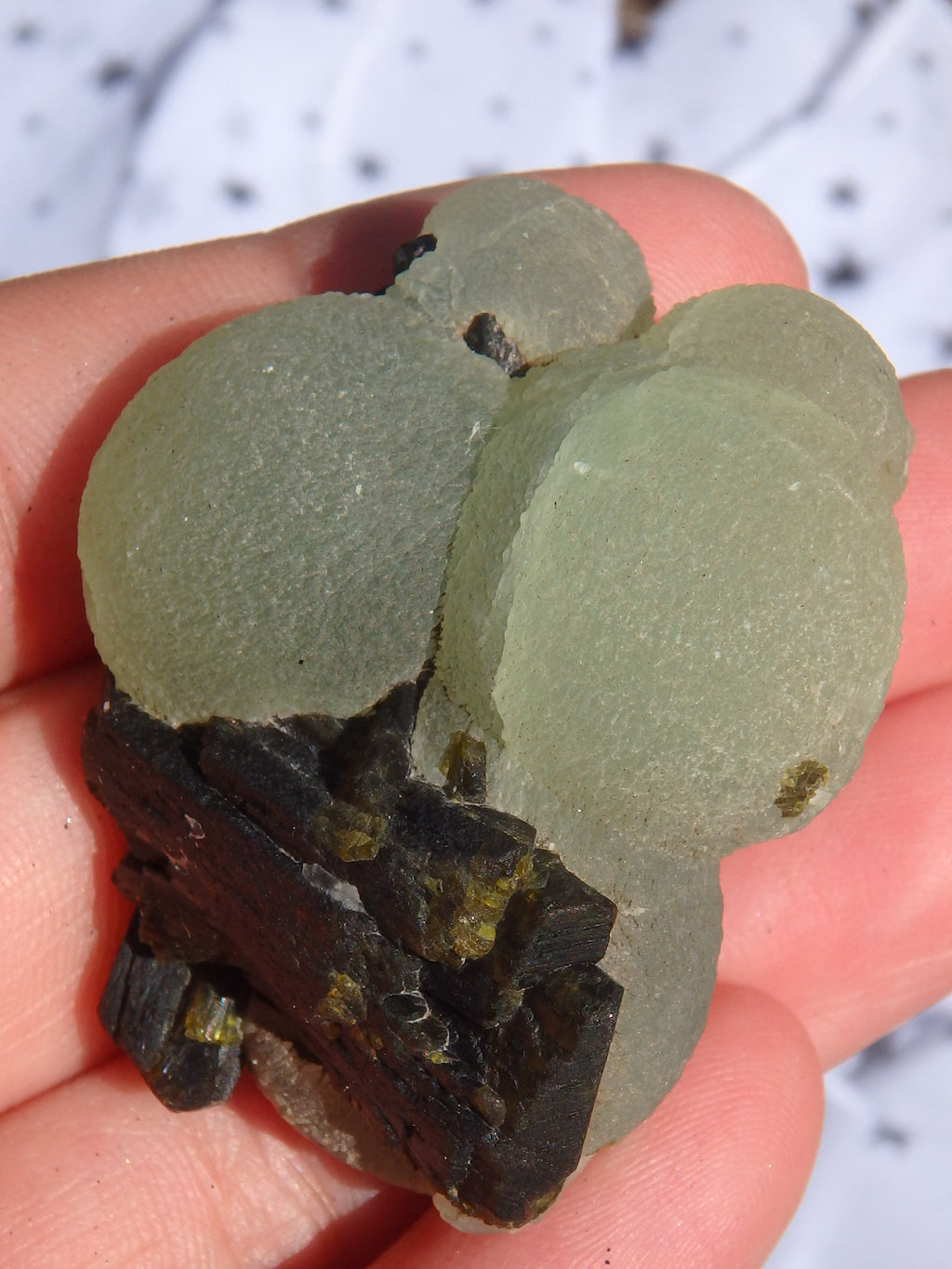 Fantastic Combo-Grape Green Prehnite on Forest Green Epidote Matrix 4 - Earth Family Crystals