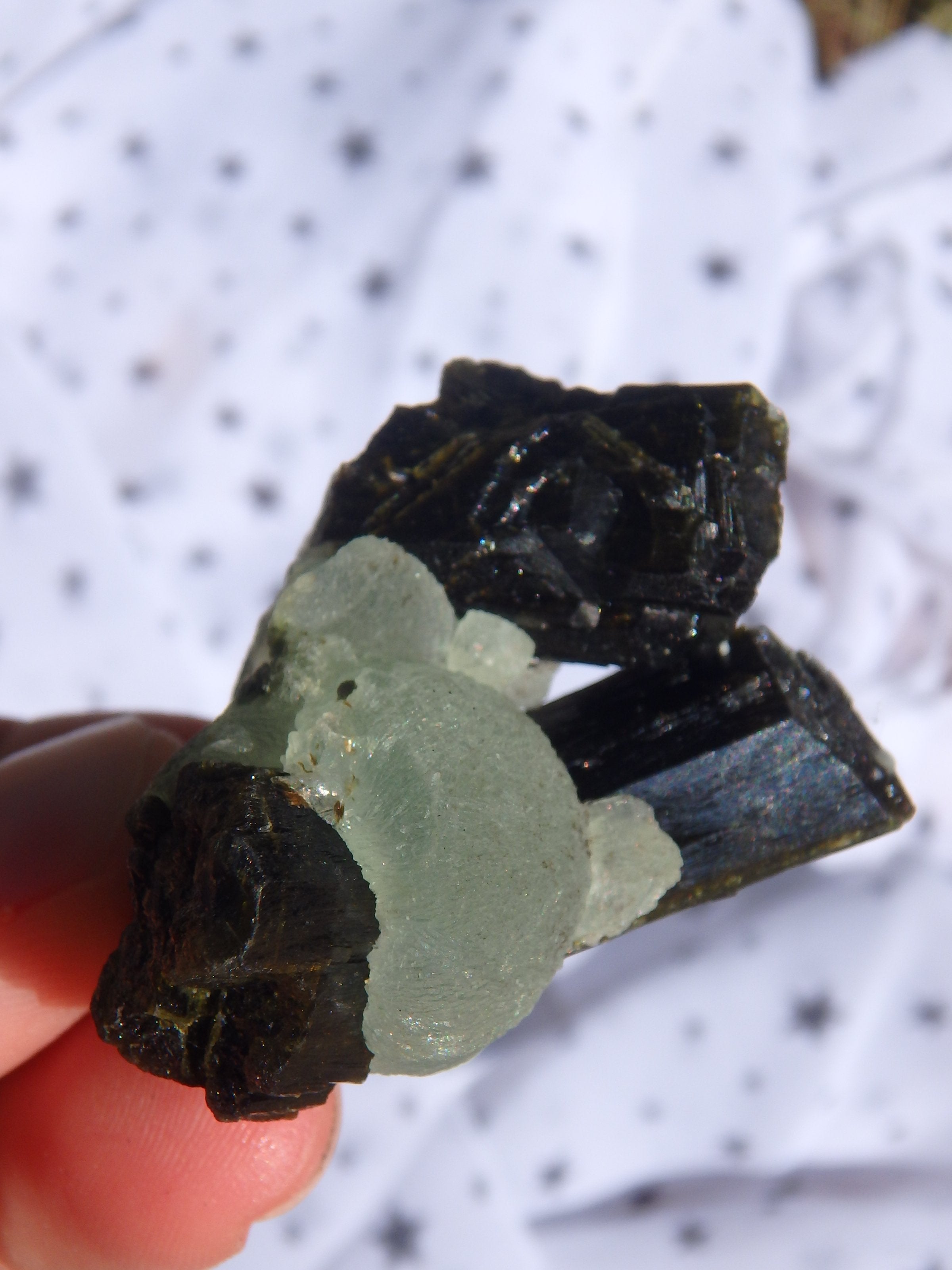 Fantastic Combo-Grape Green Prehnite on Forest Green Epidote Matrix 2 - Earth Family Crystals