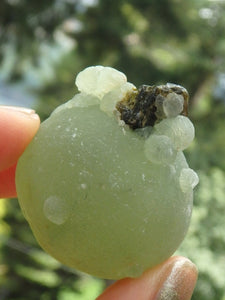 Beautiful Green Prehnite Natural Ball With Epidote Inclusions From Mali - Earth Family Crystals