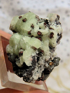 Special Find! Green Prehnite & Copper From Osceola Mine, Michigan, Usa on Collectors Stand - Earth Family Crystals