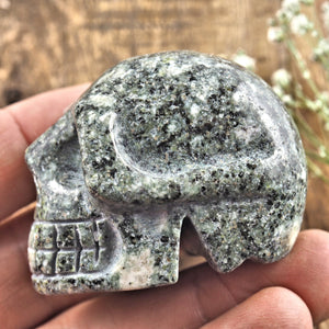 Ancient Preseli Bluestone Skull Carving From Wales, UK #1 - Earth Family Crystals