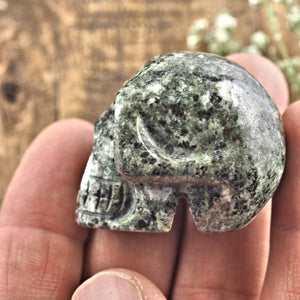 Ancient Preseli Bluestone Skull Carving From Wales, UK #2 - Earth Family Crystals