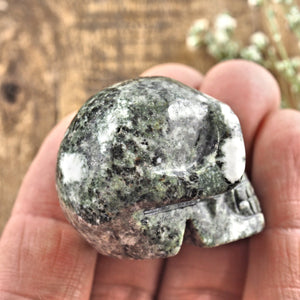 Ancient Preseli Bluestone Skull Carving From Wales, UK #2 - Earth Family Crystals