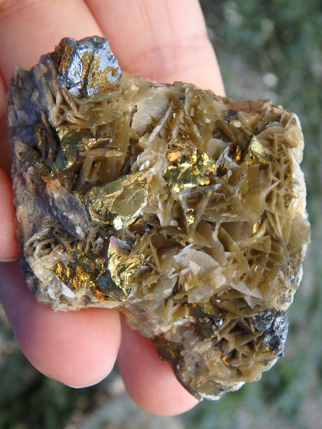 Unique Combo of Chalcopyrite on Siderite Specimen - Earth Family Crystals