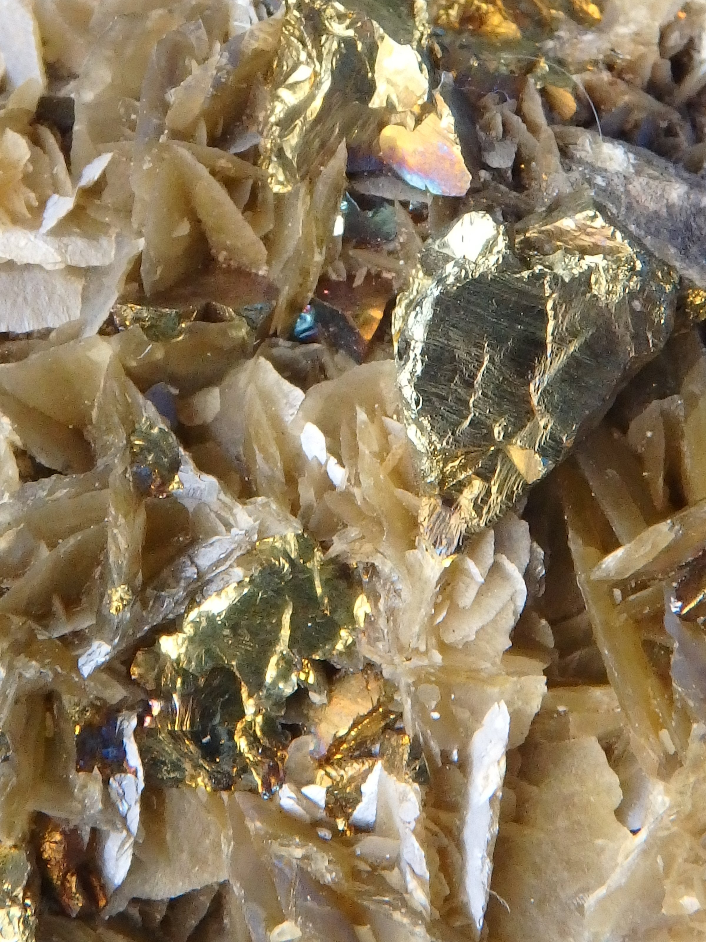 Unique Combo of Chalcopyrite on Siderite Specimen - Earth Family Crystals