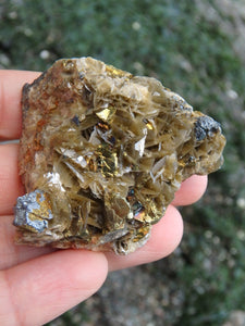 Unique Combo of Chalcopyrite on Siderite Specimen - Earth Family Crystals