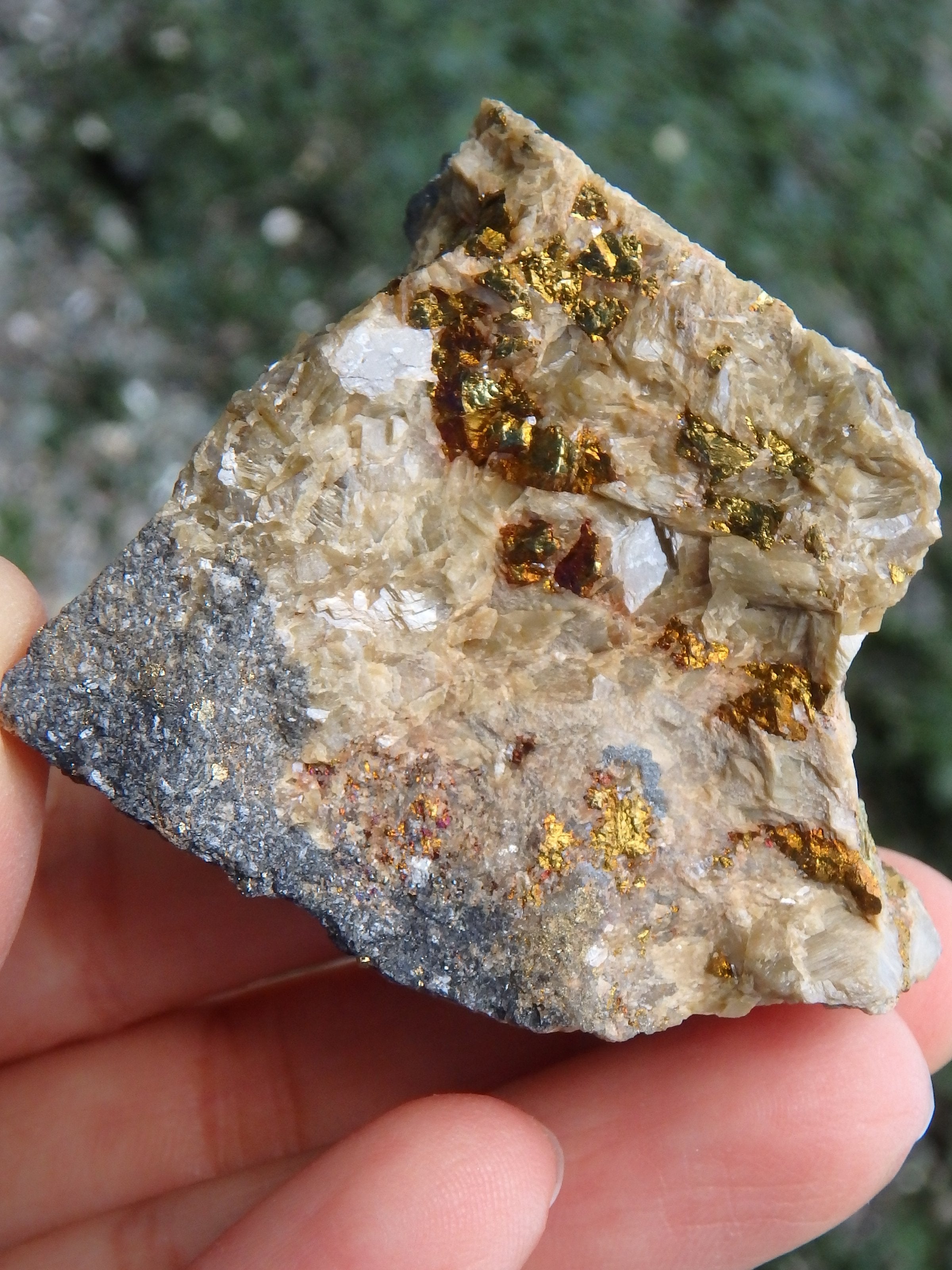 Unique Combo of Chalcopyrite on Siderite Specimen - Earth Family Crystals