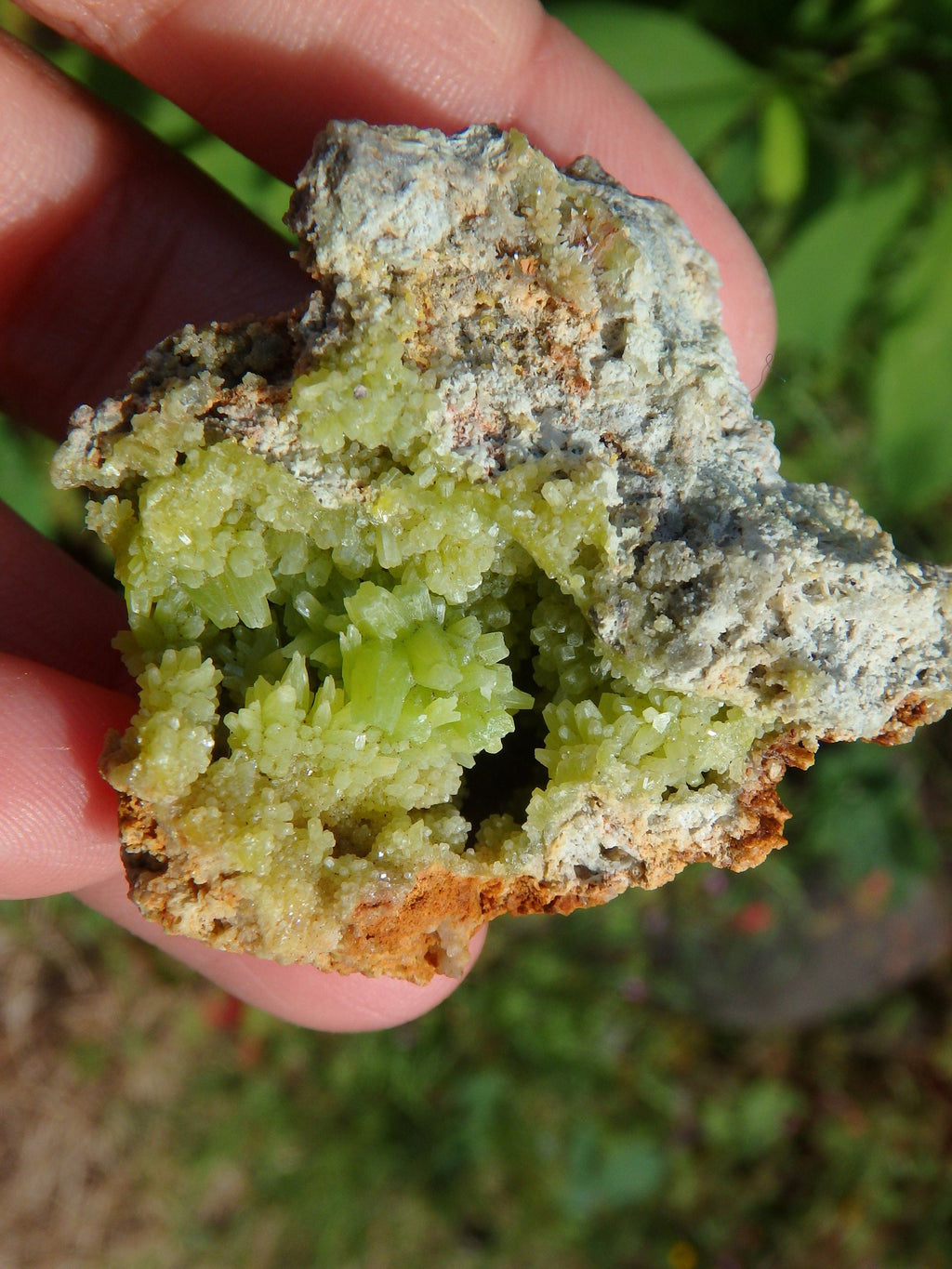 Electric Green Druzy Points Nestled in Cave Pyromorphite Specimen - Earth Family Crystals
