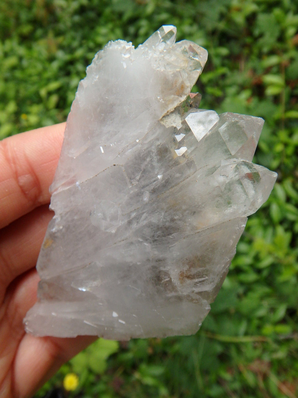 Blue Phantom Elestial Self Healed Arkansas Multi Point Quartz Cluster - Earth Family Crystals