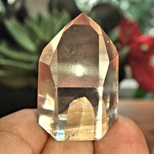 Unique Inclusion Quartz Standing Mini Generator - Earth Family Crystals