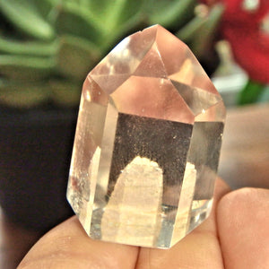 Unique Inclusion Quartz Standing Mini Generator - Earth Family Crystals