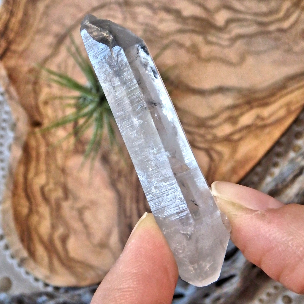 Fortunate Soul DT Tibetan Quartz Point - Earth Family Crystals
