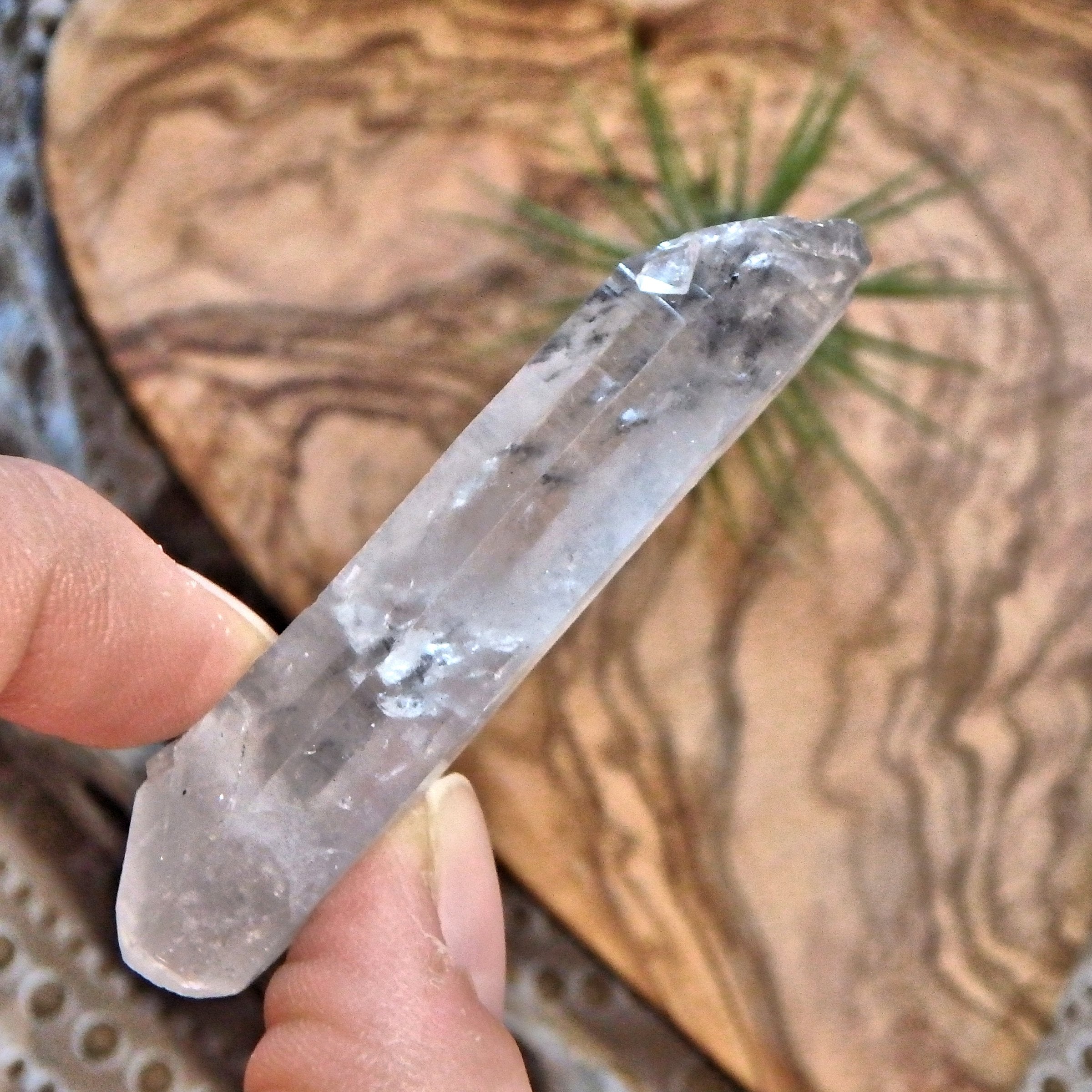 Fortunate Soul DT Tibetan Quartz Point - Earth Family Crystals