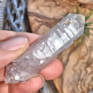 Brilliant Sceptre DT Tibetan Quartz Manifestation Point - Earth Family Crystals