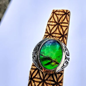 High Grade Quartz Capped Alberta Ammolite Ring in Sterling Silver (Size 11)