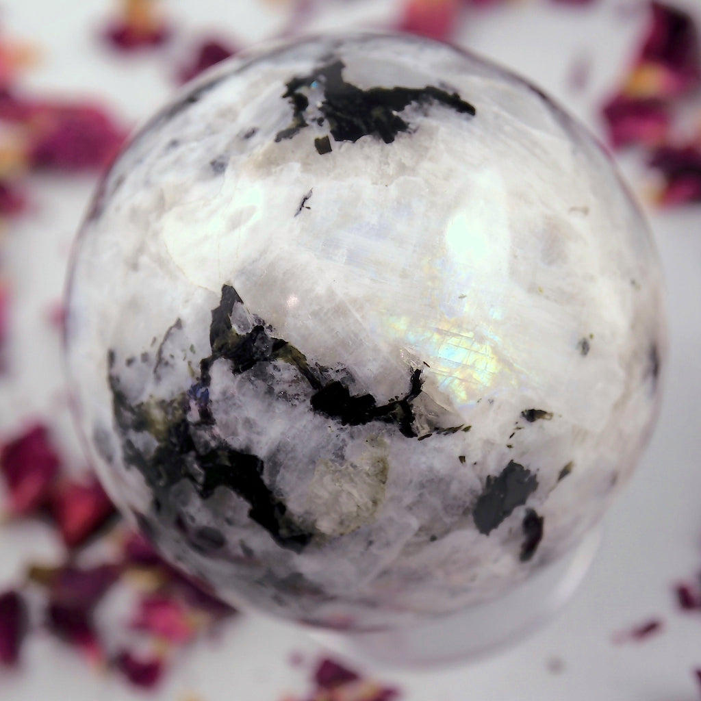 Black Tourmaline Galore & Rainbow Moonstone Medium Sphere Carving - Earth Family Crystals