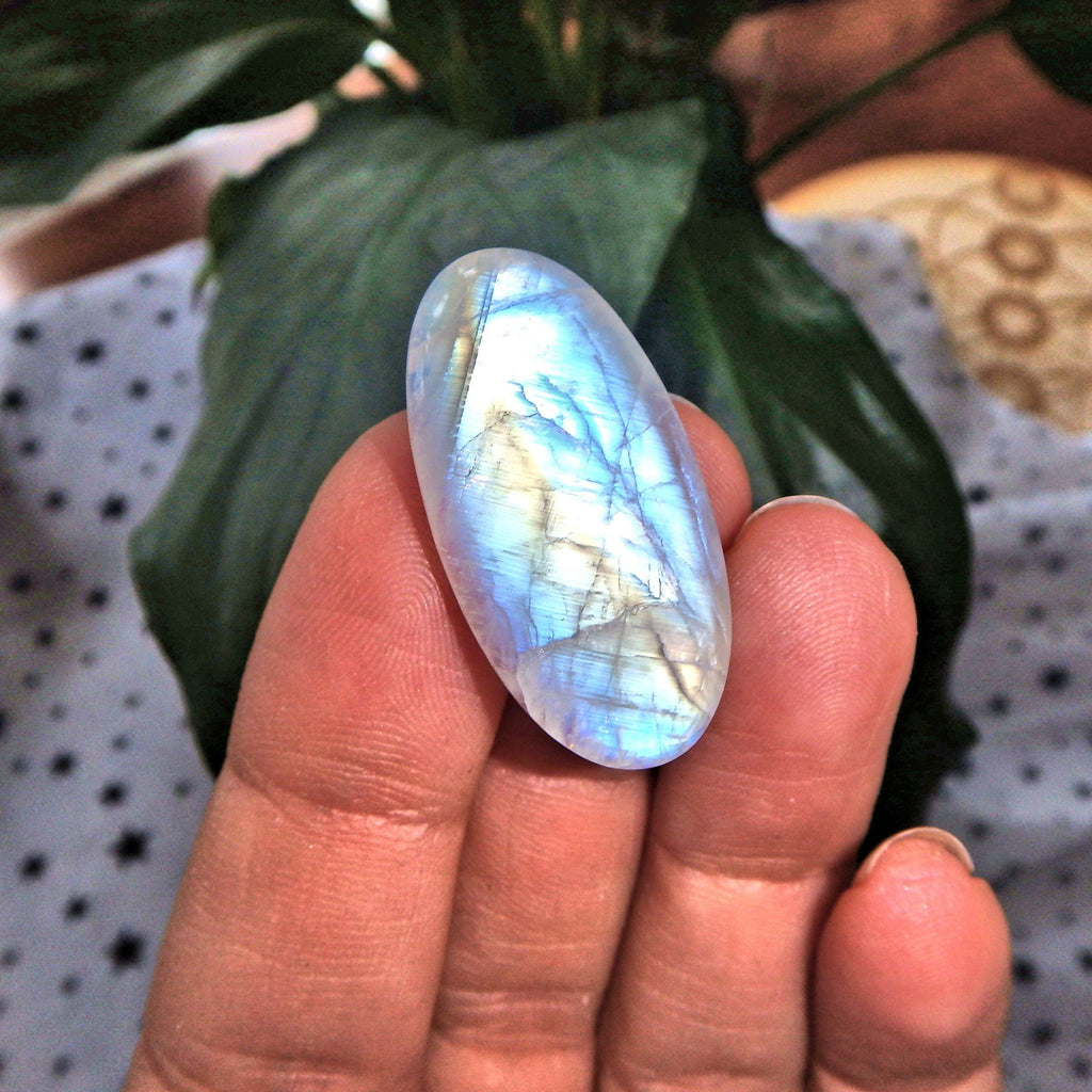 Blue & Golden Rainbow Moonstone Cabochon-Perfect for Crafting - Earth Family Crystals
