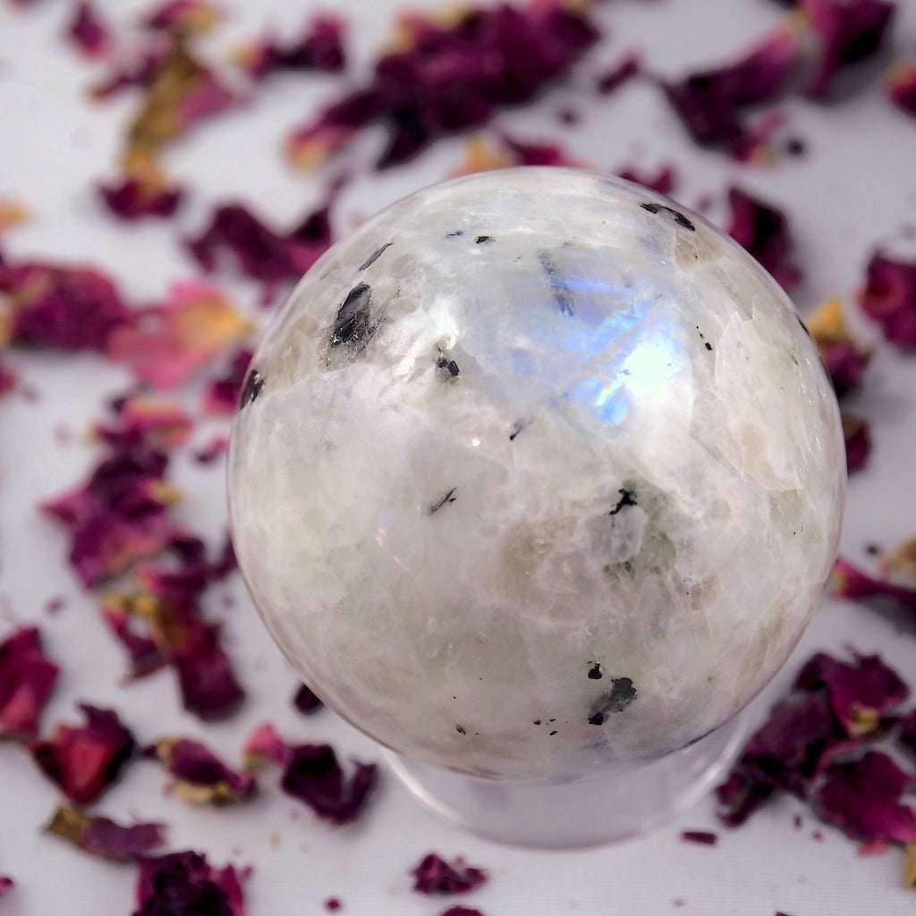 Enchanting Rainbow Moonstone & Black Tourmaline Medium Sphere Carving - Earth Family Crystals