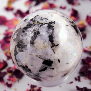 Black Tourmaline Galore & Rainbow Moonstone Medium Sphere Carving - Earth Family Crystals
