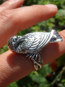 Statement Piece~Raven Sterling Silver Ring (Adjustable~Size 8-10)