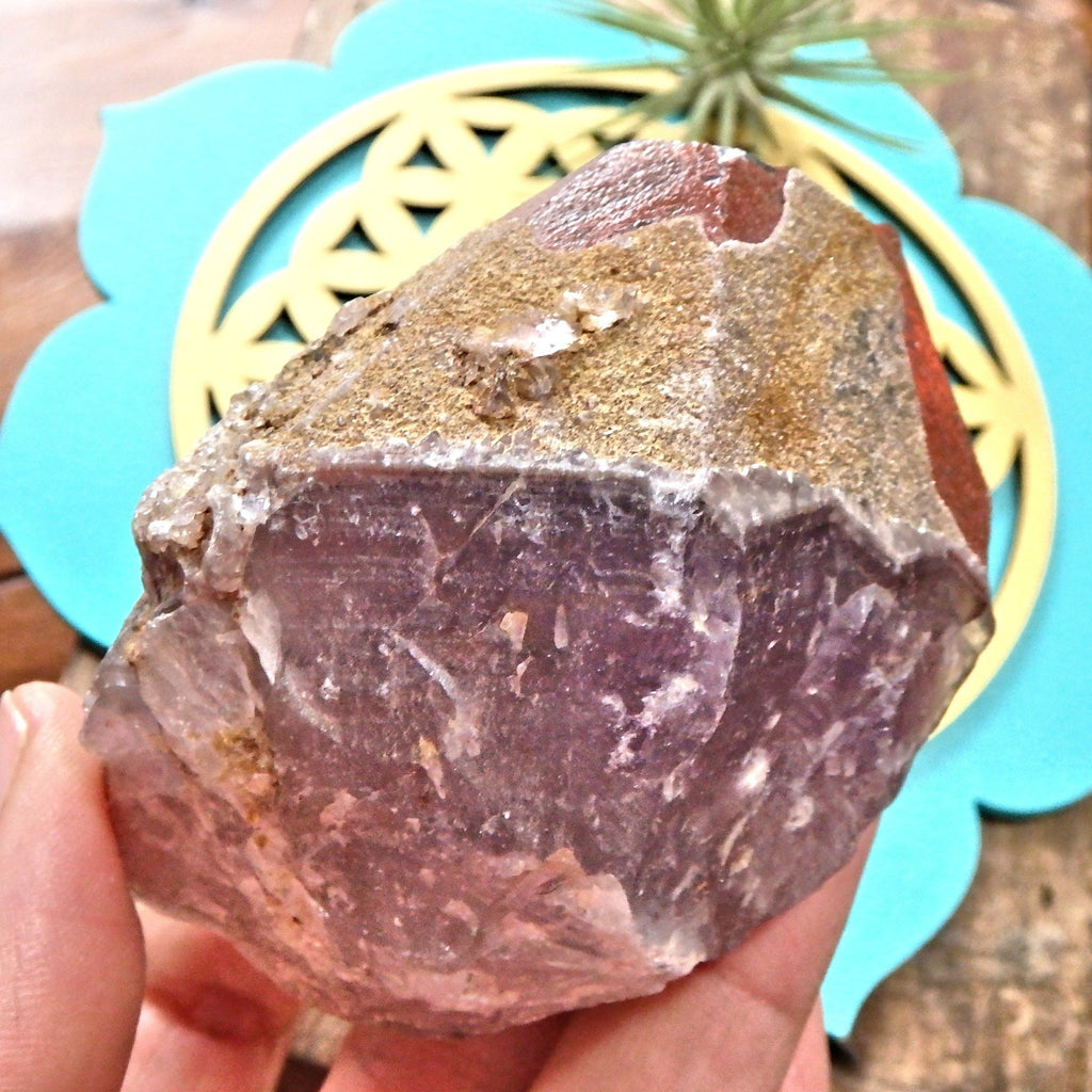 Chunk of Auralite-23 With Red Hematite Capped Partial Point From Ontario, Canada - Earth Family Crystals