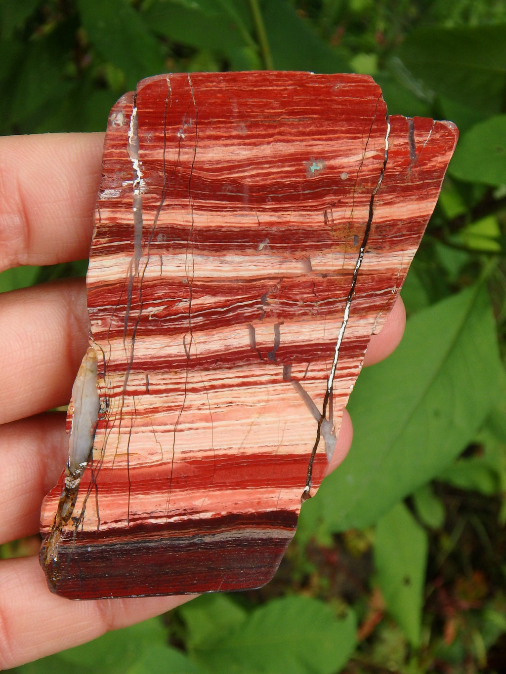 Australia Red Jasper Specimen Partially Polished - Earth Family Crystals