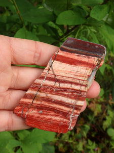 Australia Red Jasper Specimen Partially Polished - Earth Family Crystals