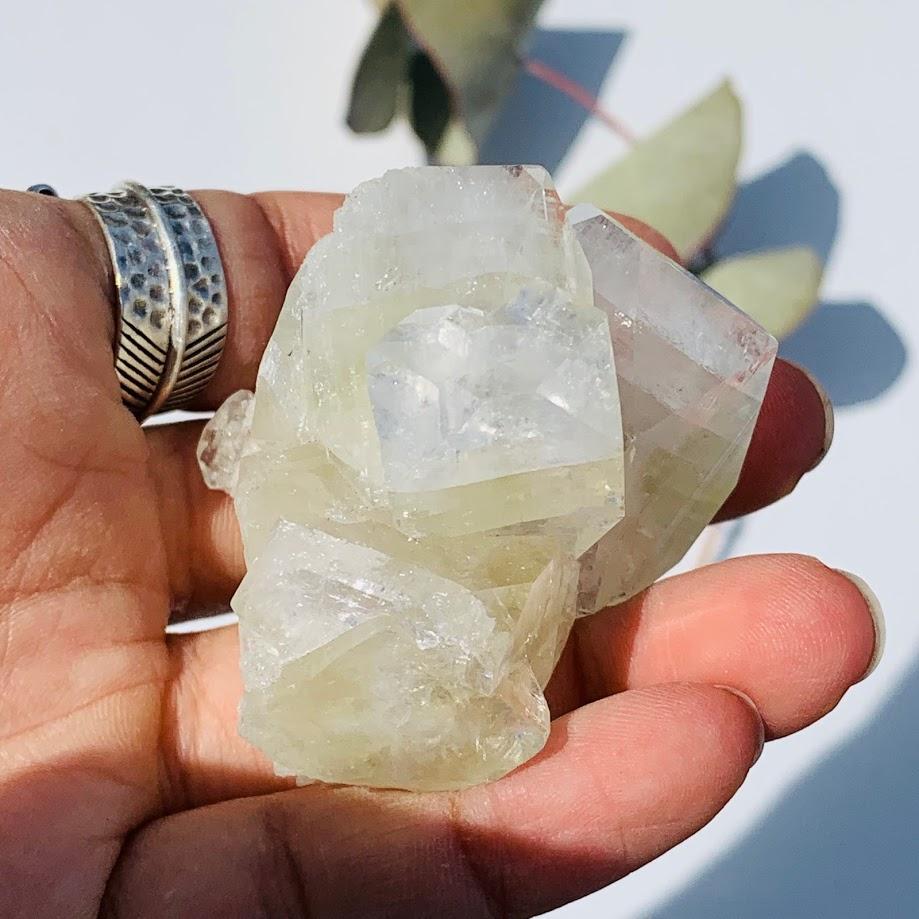 Gemmy Green & Clear Apophyllite Cluster from India #8 - Earth Family Crystals