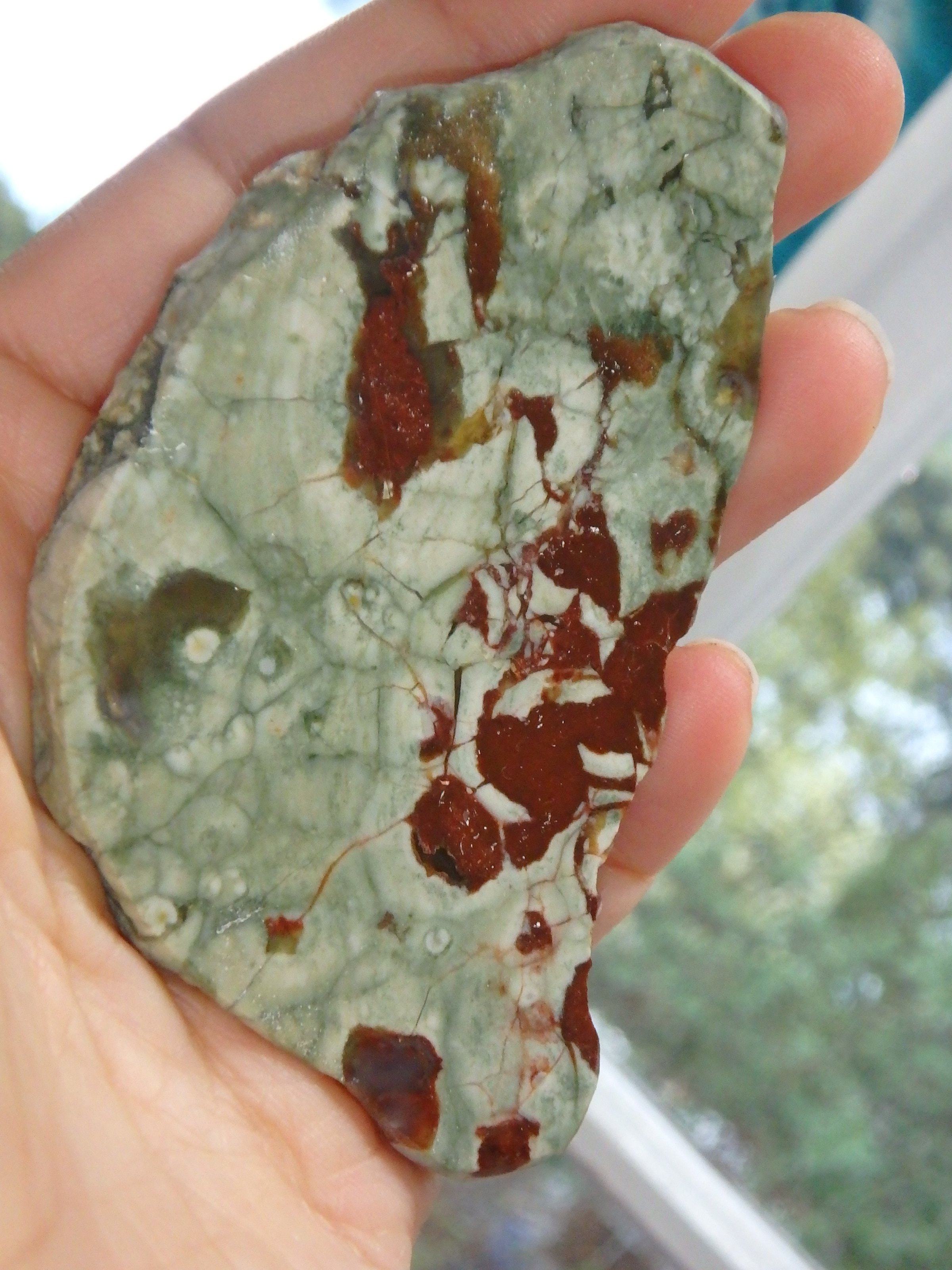 Australian Spherulitic Rhyolite Free Form Slice Specimen - Earth Family Crystals