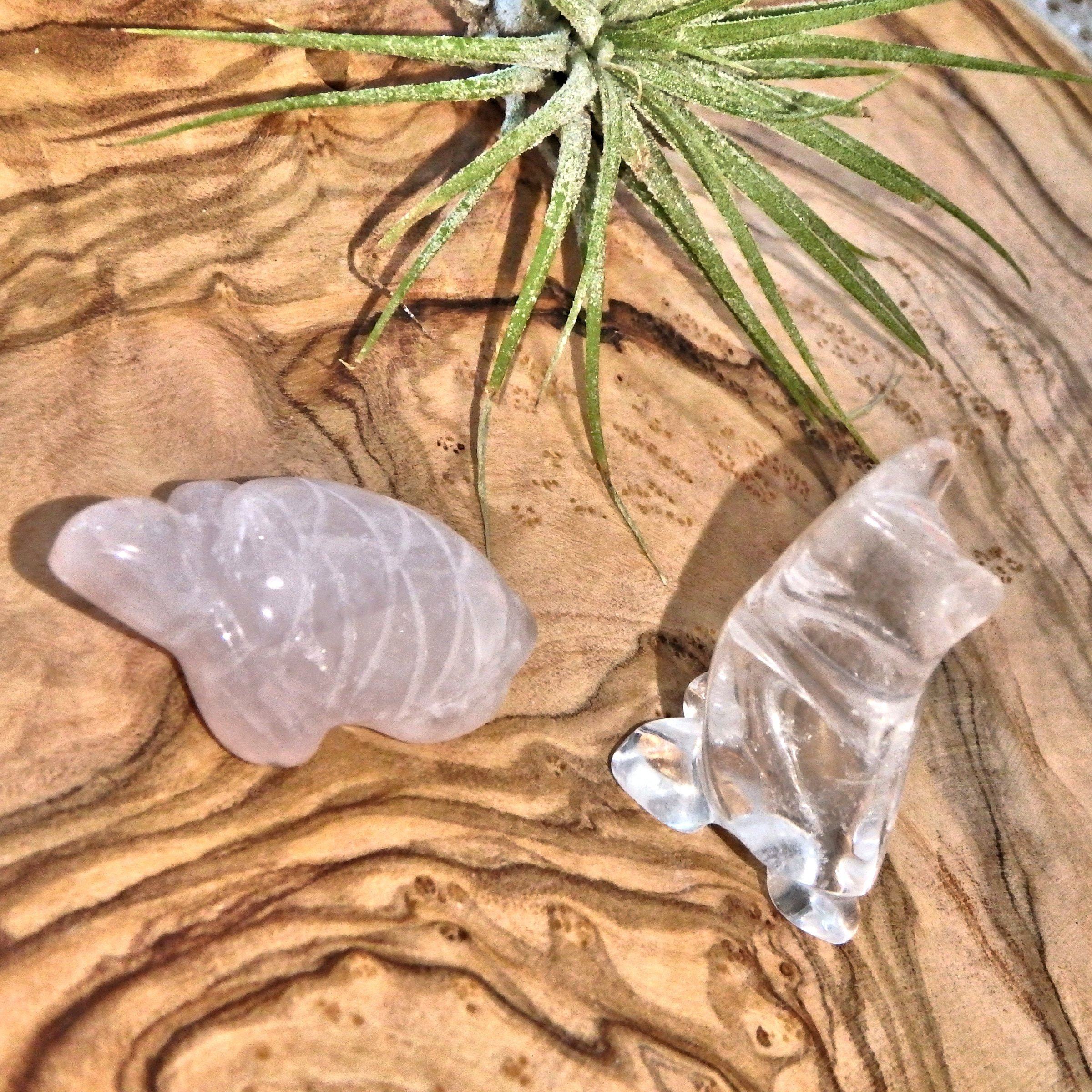 Adorable Rose Quartz Turtle & Owl Clear Quartz Set - Earth Family Crystals