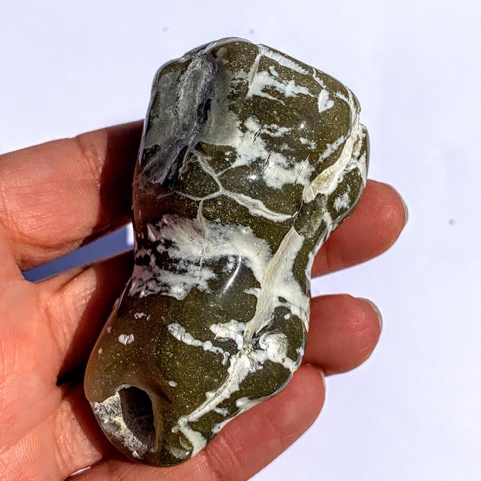 Partially Polished Alligator Agate Nodule From Arizona #1 - Earth Family Crystals