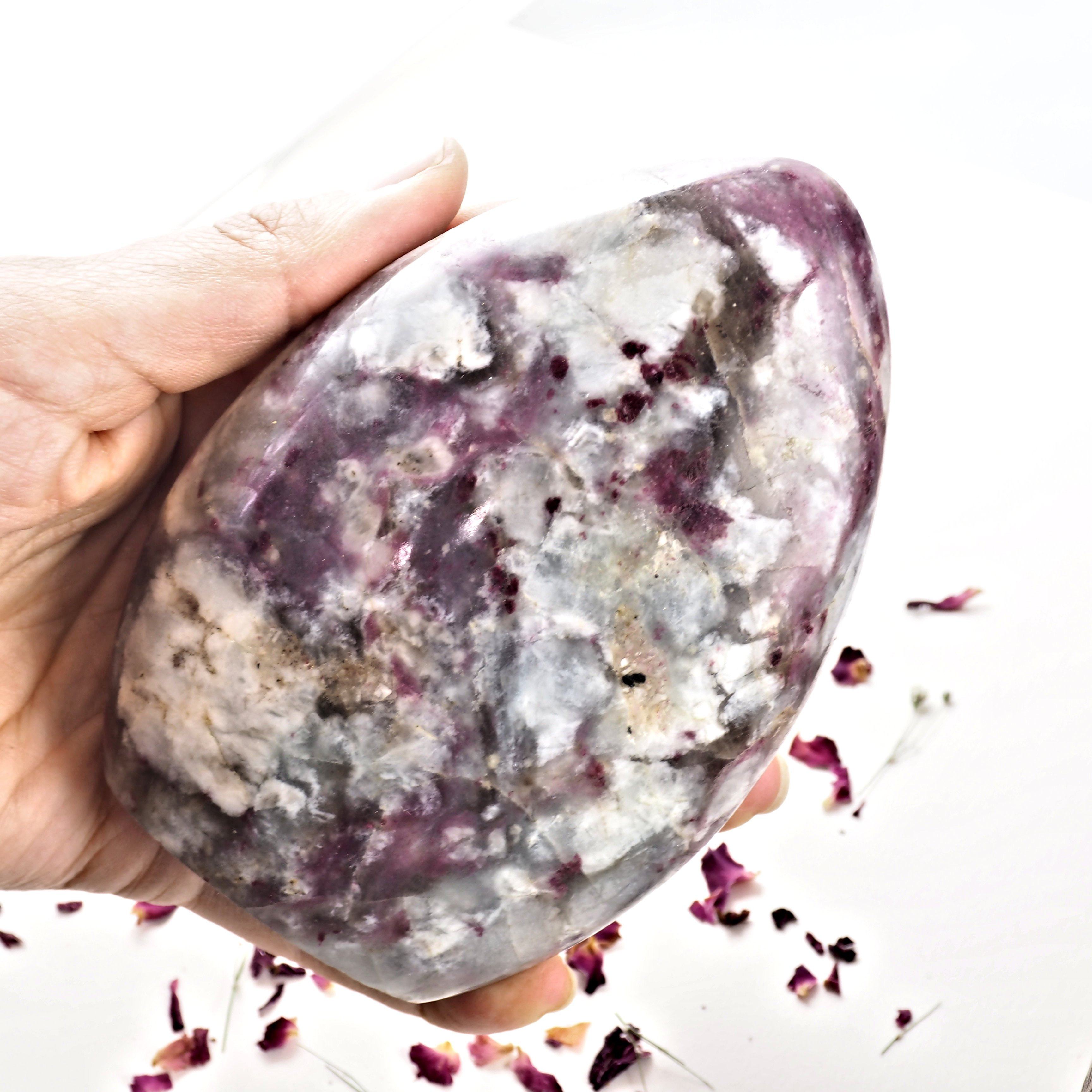 Cranberry Red Rubellite Tourmaline & Creamy White Quartz Display Specimen from Madagascar - Earth Family Crystals