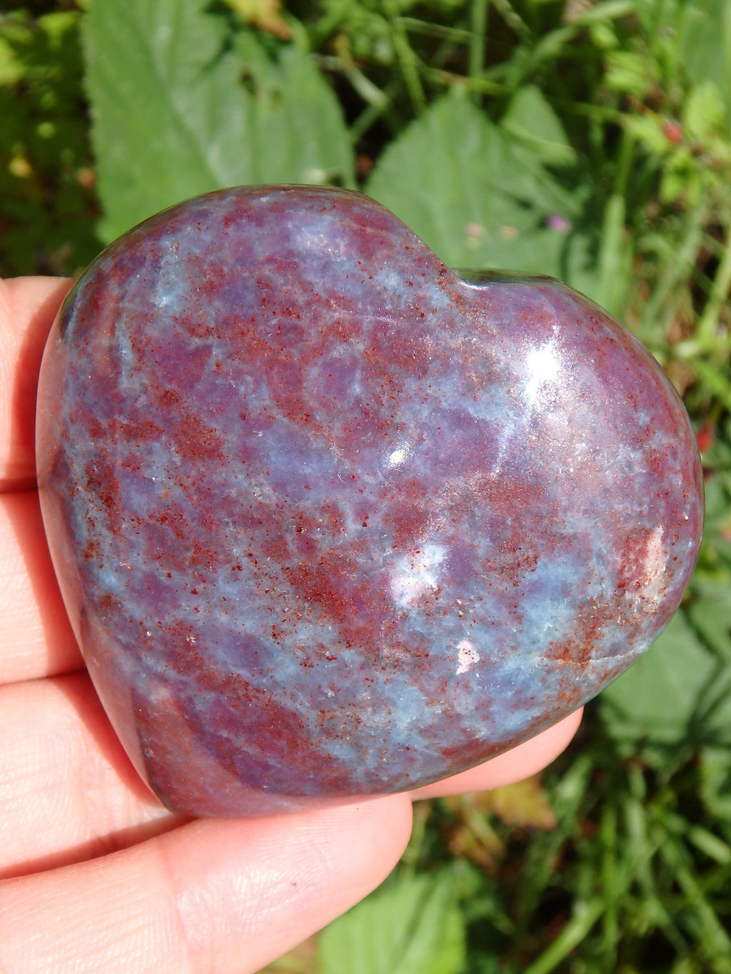 Fabulous Contrast Ruby Kyanite Heart Carving - Earth Family Crystals