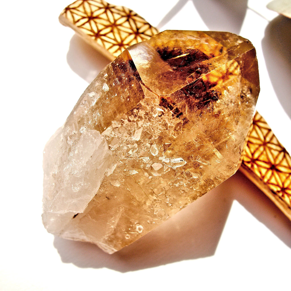 Brilliant Natural Smoky Rutilated Quartz Point With Druzy Frosting From Brazil - Earth Family Crystals