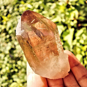 Brilliant Natural Smoky Rutilated Quartz Point With Druzy Frosting From Brazil - Earth Family Crystals