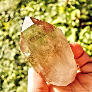 Brilliant Natural Smoky Rutilated Quartz Point With Druzy Frosting From Brazil - Earth Family Crystals