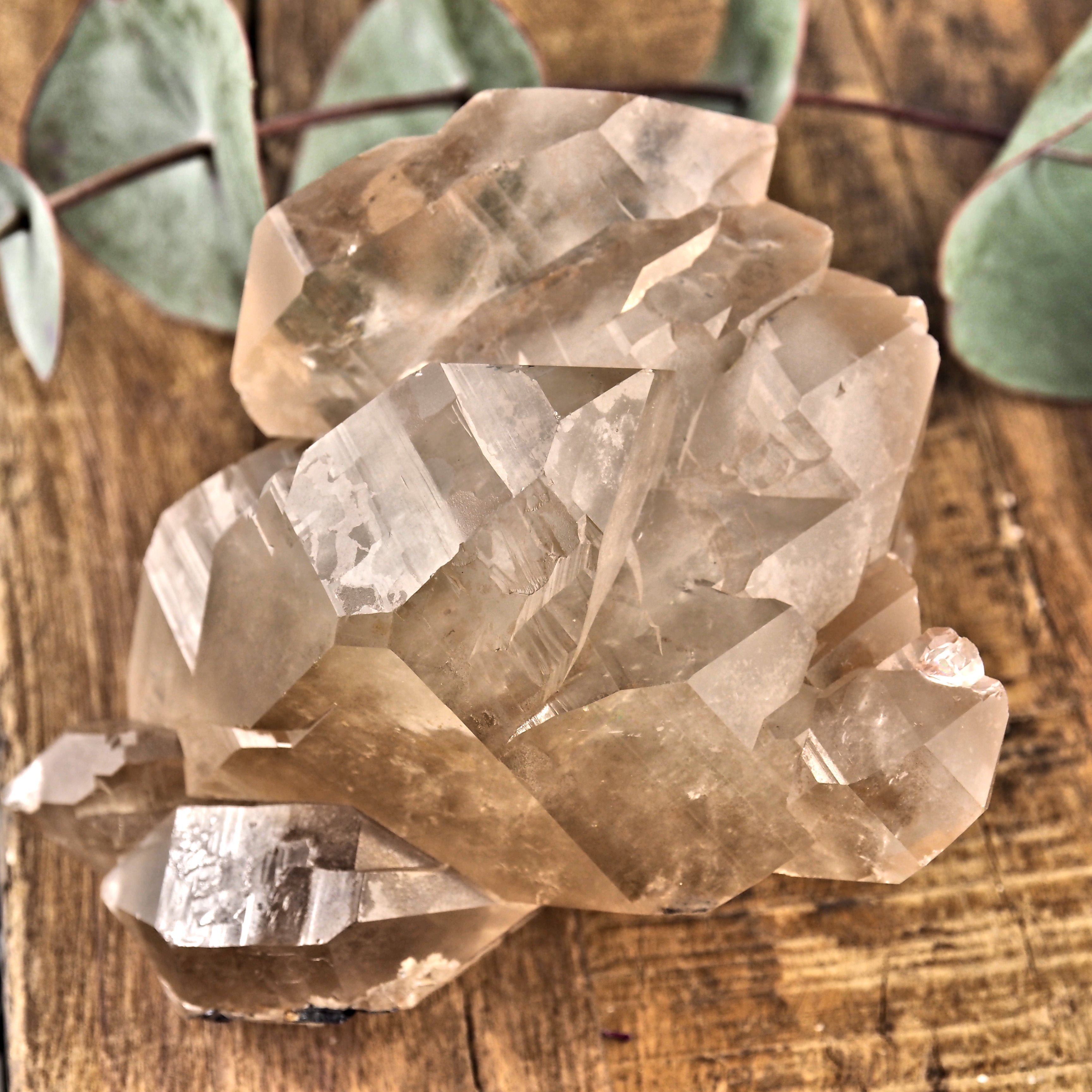 Incredible Large Elestial DT Rutilated Smoky Quartz Cluster With Hematite Inclusions From Brazil - Earth Family Crystals