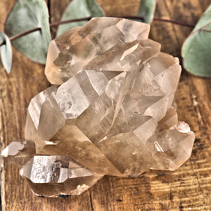 Incredible Large Elestial DT Rutilated Smoky Quartz Cluster With Hematite Inclusions From Brazil - Earth Family Crystals