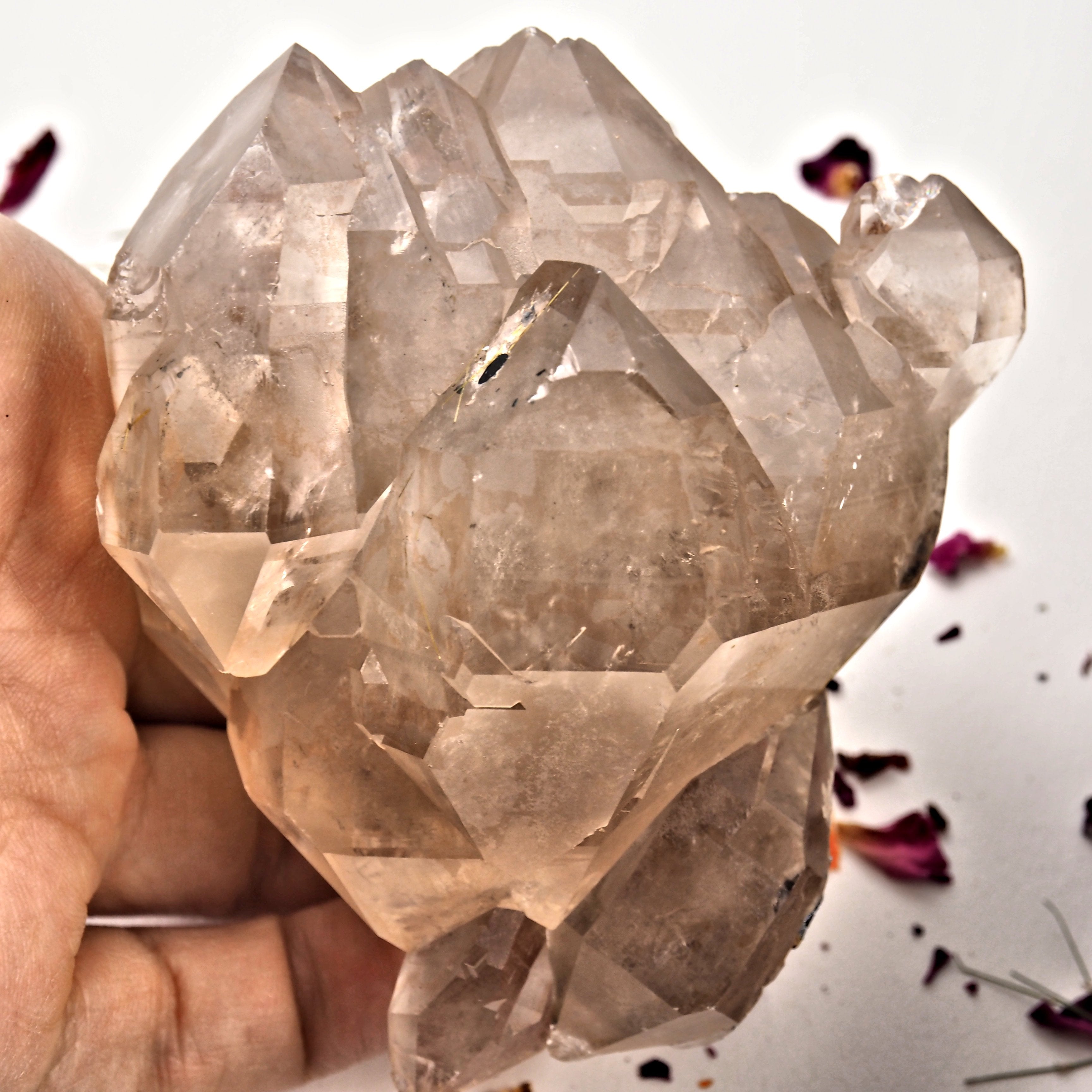 Incredible Large Elestial DT Rutilated Smoky Quartz Cluster With Hematite Inclusions From Brazil - Earth Family Crystals