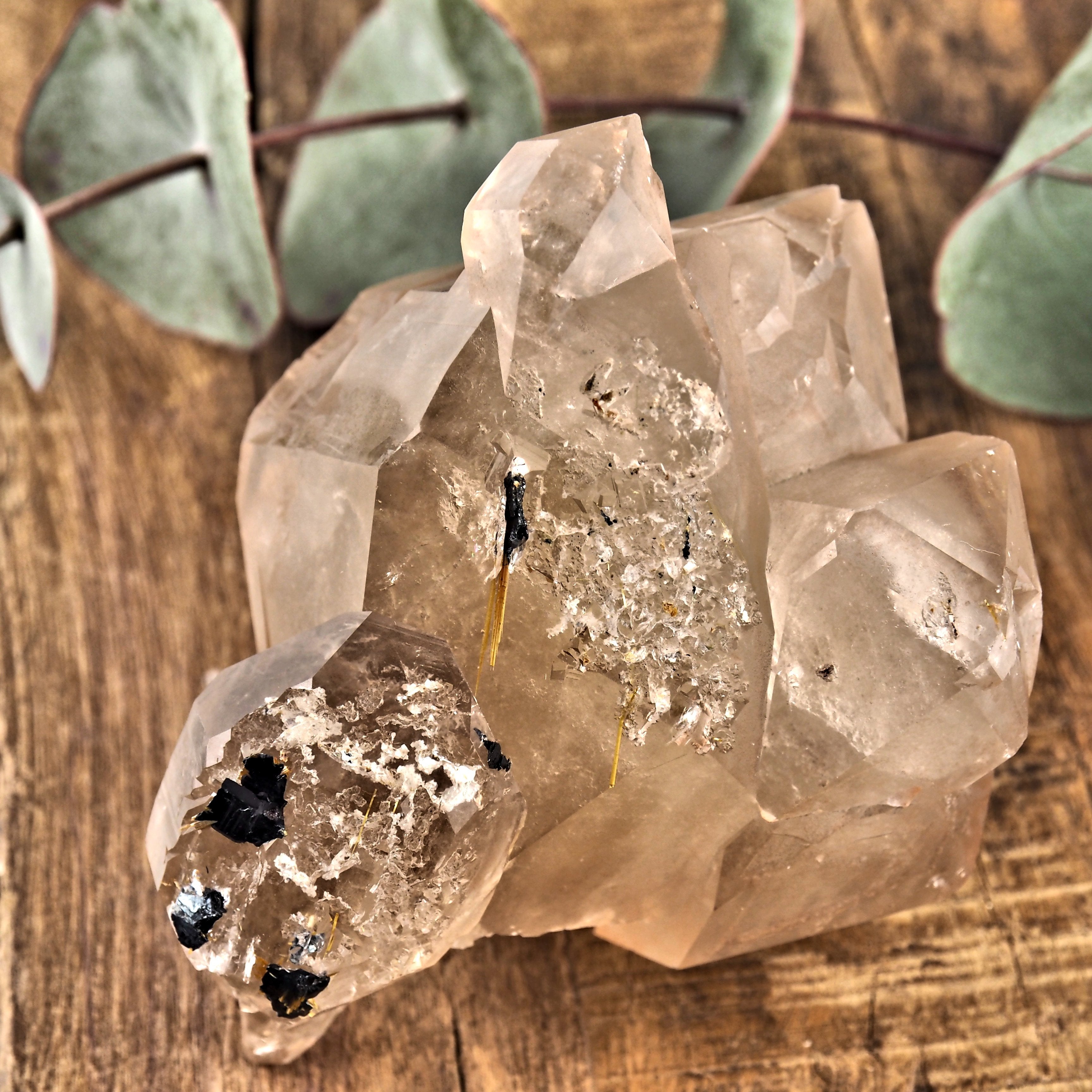 Incredible Large Elestial DT Rutilated Smoky Quartz Cluster With Hematite Inclusions From Brazil - Earth Family Crystals