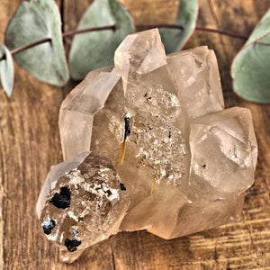 Incredible Large Elestial DT Rutilated Smoky Quartz Cluster With Hematite Inclusions From Brazil - Earth Family Crystals