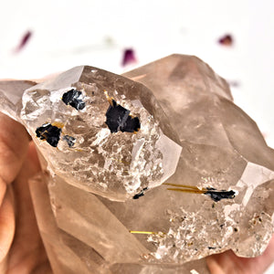 Incredible Large Elestial DT Rutilated Smoky Quartz Cluster With Hematite Inclusions From Brazil - Earth Family Crystals