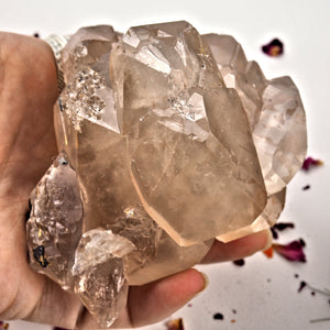 Incredible Large Elestial DT Rutilated Smoky Quartz Cluster With Hematite Inclusions From Brazil - Earth Family Crystals