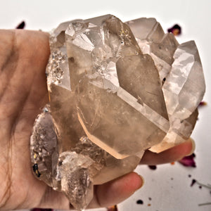 Incredible Large Elestial DT Rutilated Smoky Quartz Cluster With Hematite Inclusions From Brazil - Earth Family Crystals