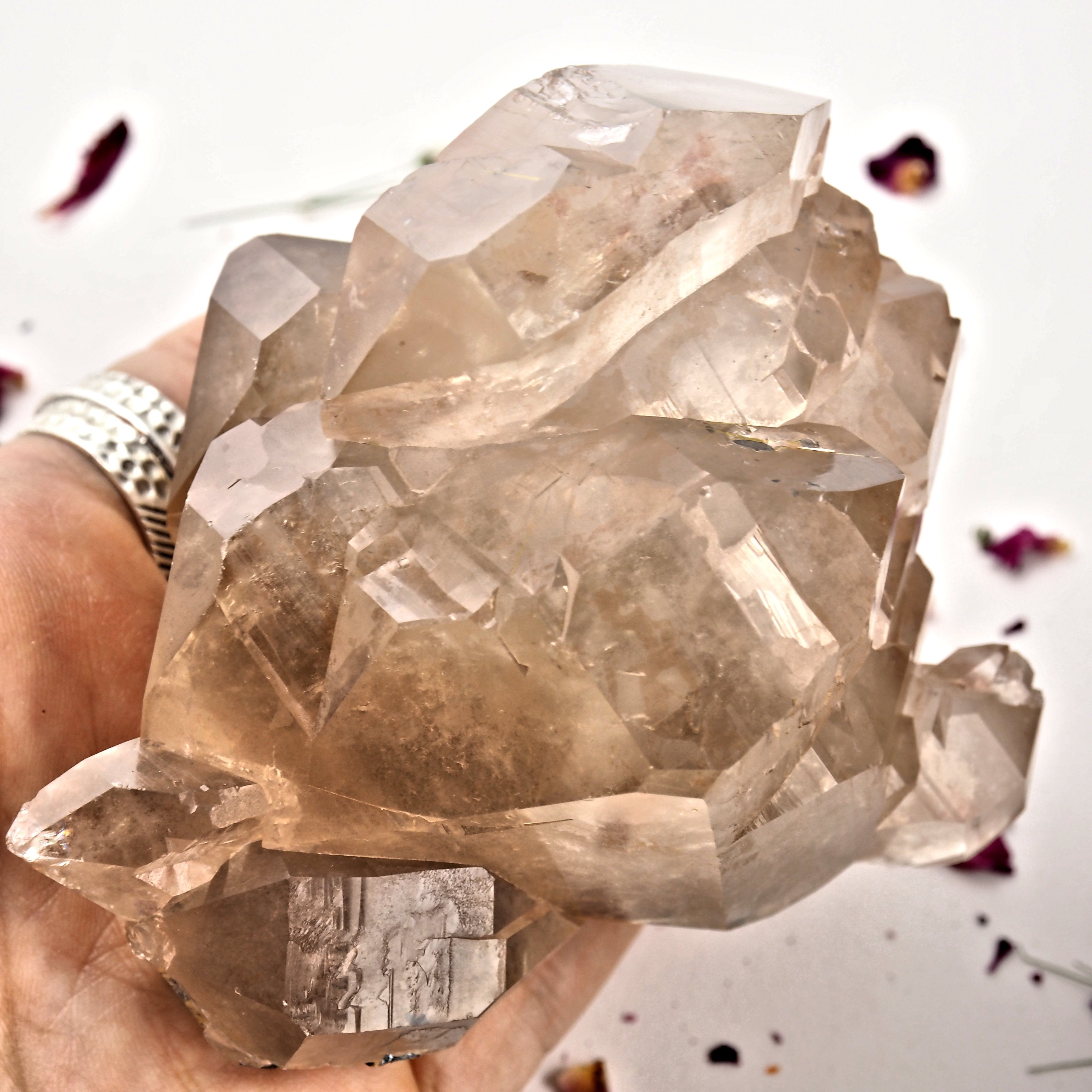 Incredible Large Elestial DT Rutilated Smoky Quartz Cluster With Hematite Inclusions From Brazil - Earth Family Crystals
